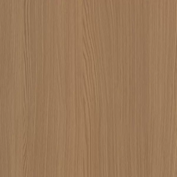 XGM302 Modello Olmo ed Elegante