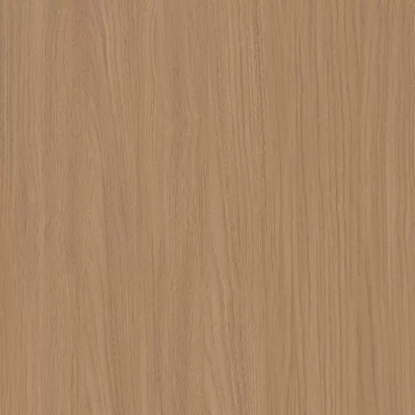 XGM313 Noce