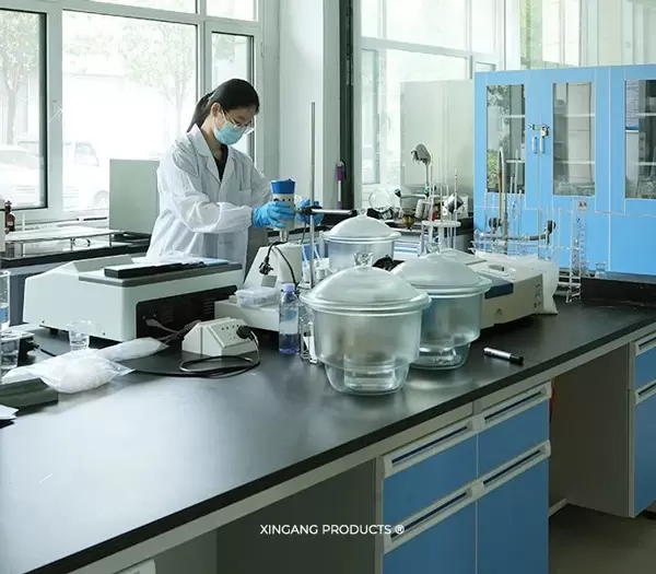 ISTITUTO DI RICERCA XINGANG